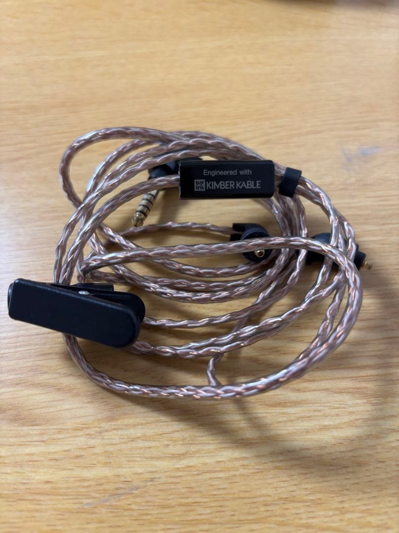 イヤホン SONY IER-M9 Q MUC-M12SB1