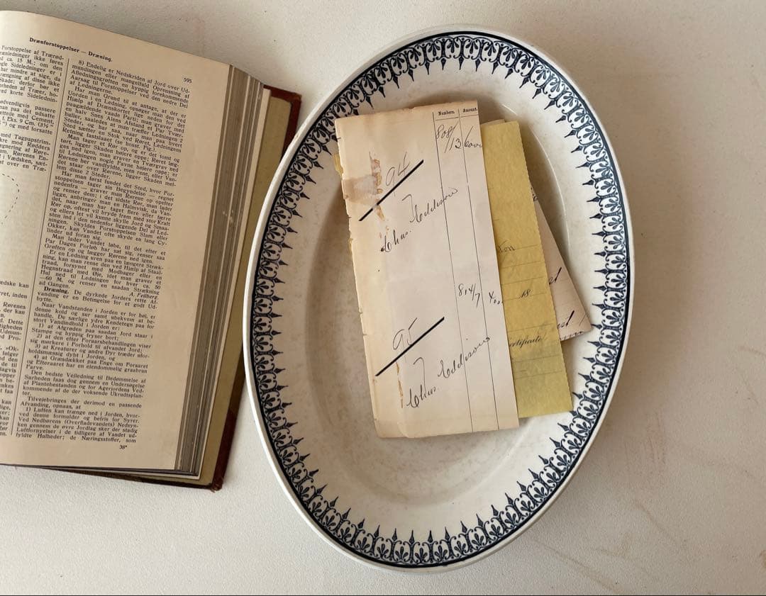 サルグミンヌ　シャビーオーバルプレート　フランスアンティーク皿　オーバル皿