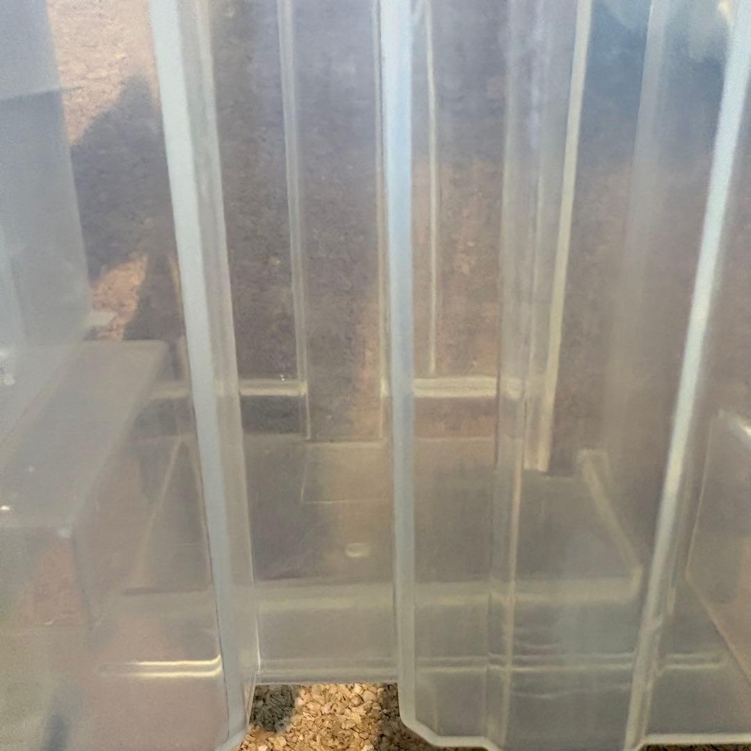 【美品】SHARP衣類乾燥機 除湿機 8畳 CV-N71-W 2022年製