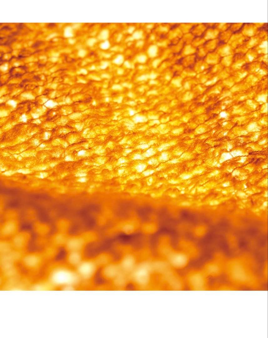 STATIC Roar Hi-Loft Crew L/XL ブラック