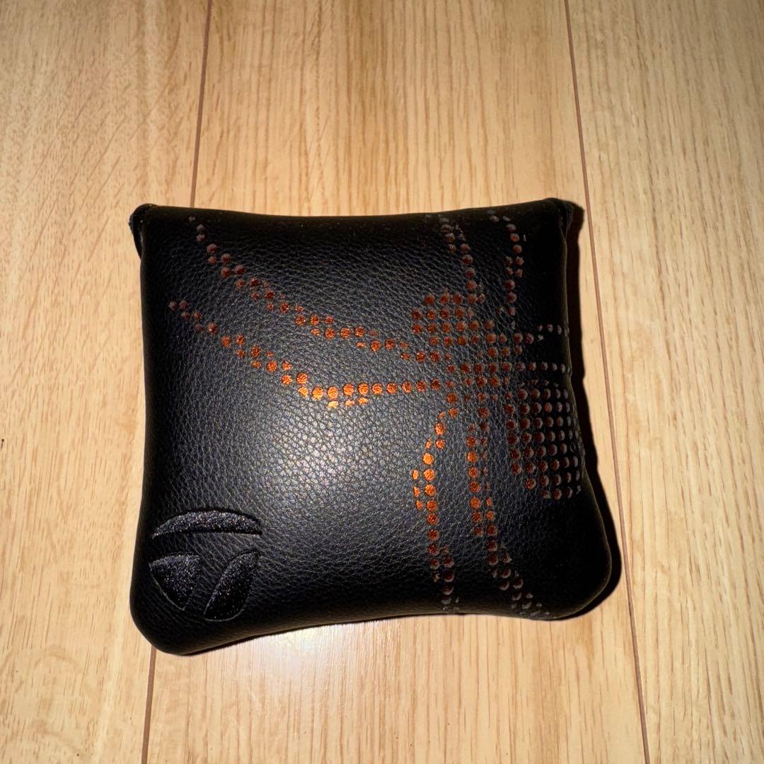 【ほぼ新品】Spider Tour X Proto 34インチ