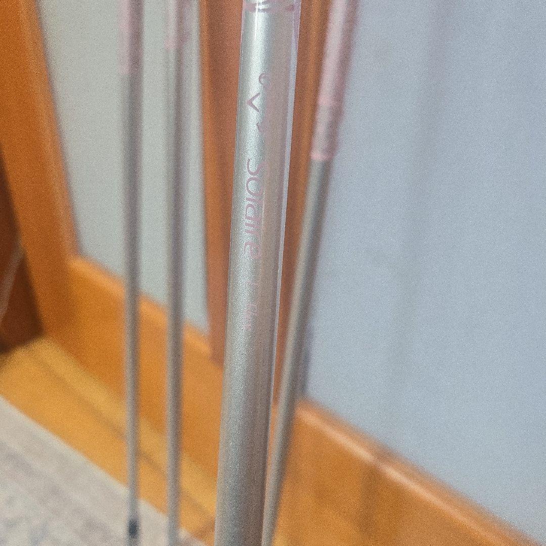 ランニング様ゴルフクラブレデースアイアン