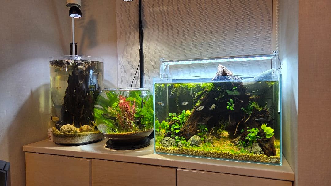 【都内直接引渡】豪華ADA 45cm水槽フルセット アクアスカイ/青華石10数点