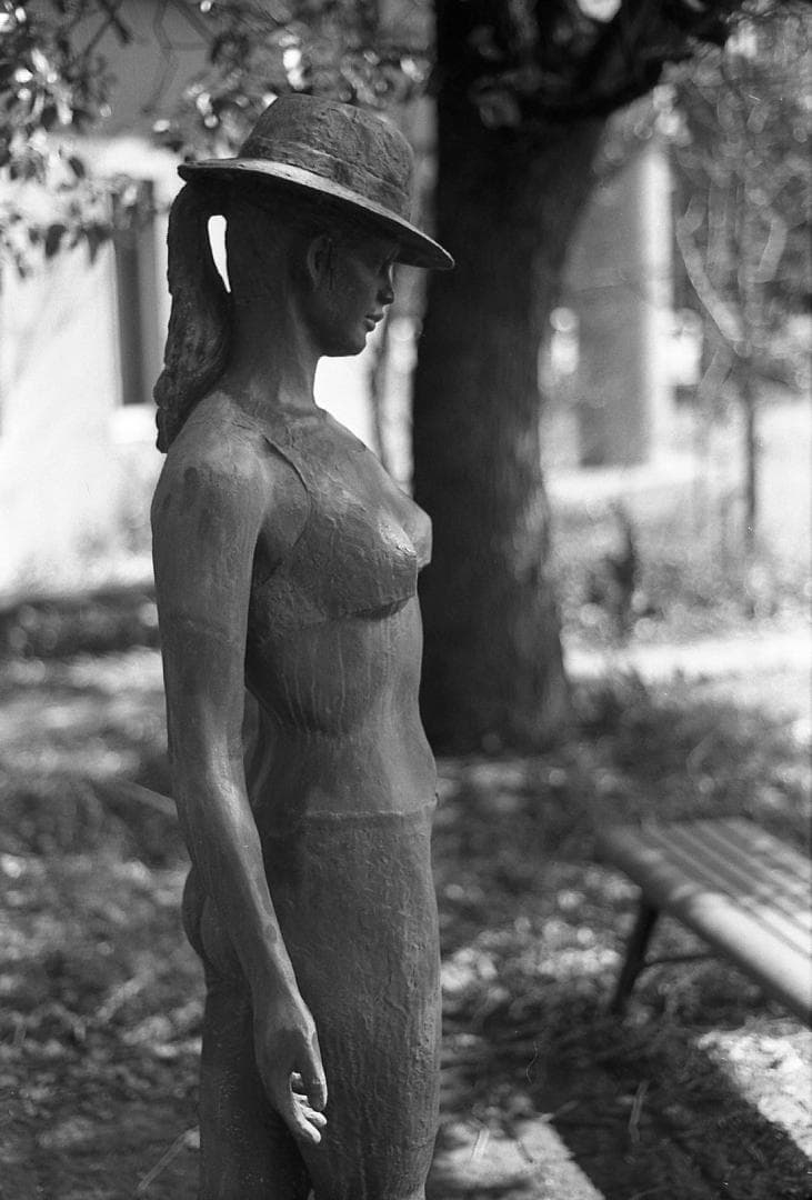 完動品 PENTAX SL 黒/Super Takumar 55mm f1.8