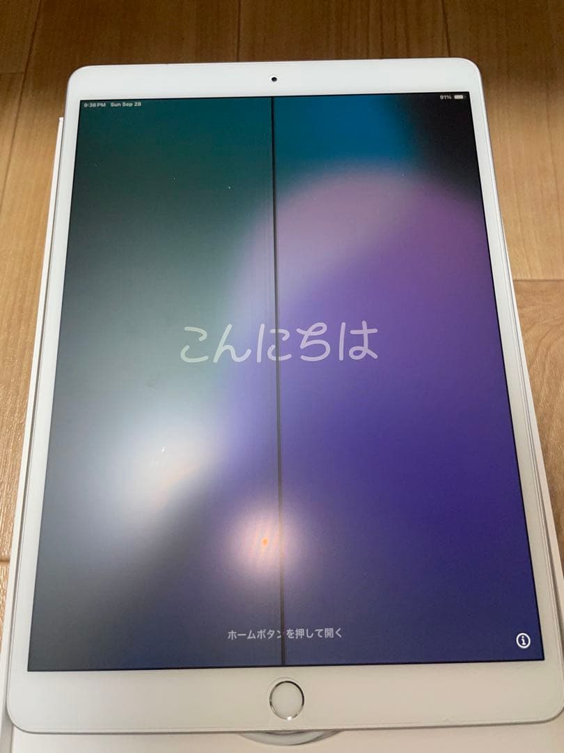 （ジャンク品）iPad Air（第3世代） （Wi-Fi+Cellular）