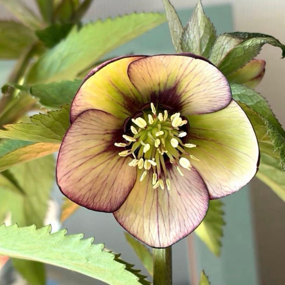 まい様　リクエスト　おまとめ3点