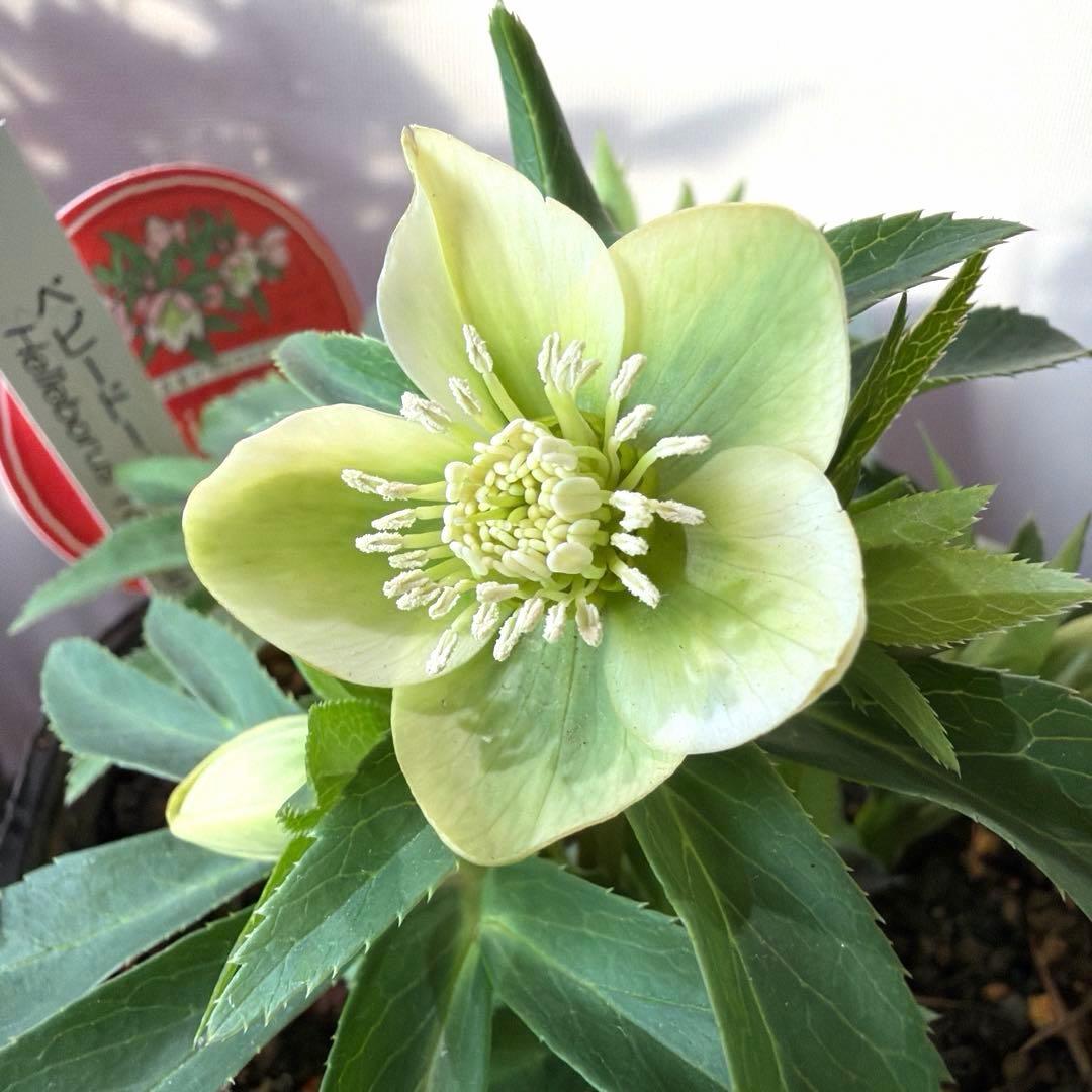 まい様　リクエスト　おまとめ3点