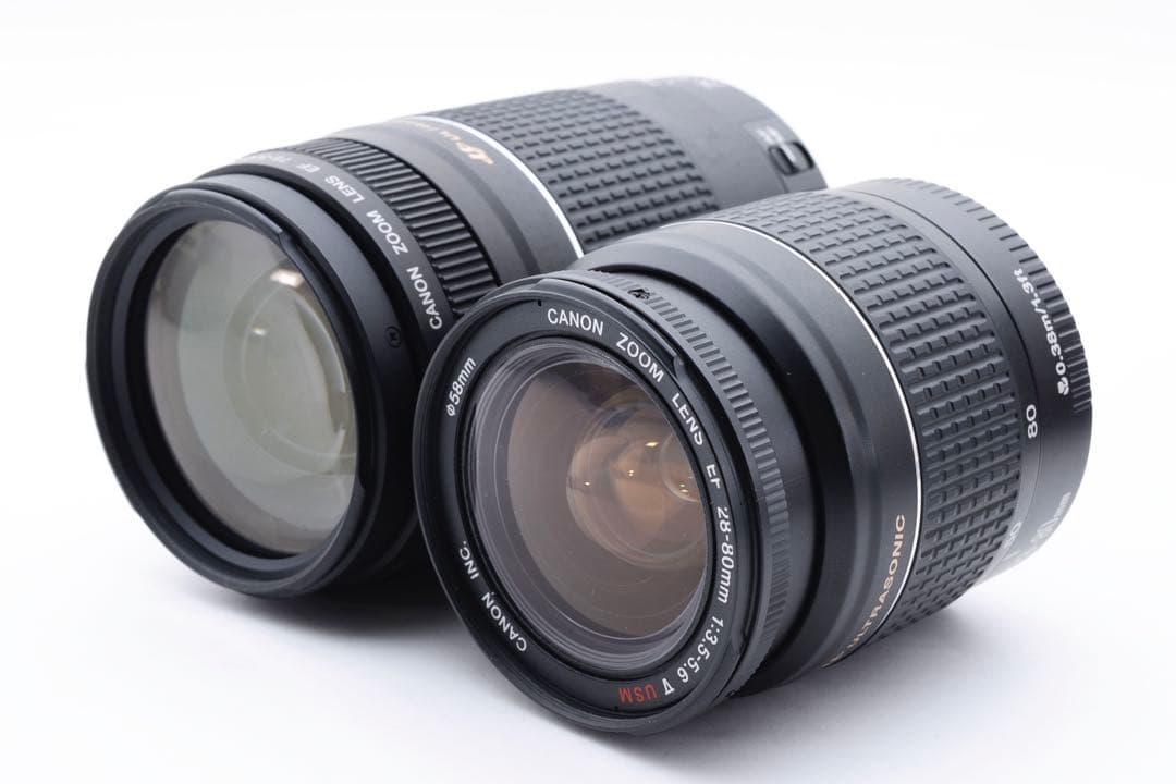 キャノン Canon EOS 5D Mark IV 標準&望遠ダブルレンズセット