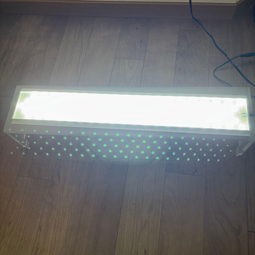 ADA アクアスカイ　ムーン　601