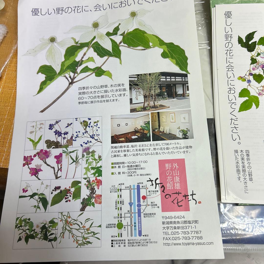 値下げ　　水彩画 木製フレーム付き　 外山康雄　原画　越の小貝母 名刺