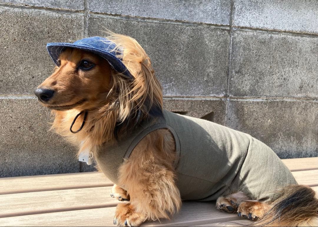 ダックスフンド　商品受付ページ　ロンパース　犬服　わんこ服　カーキー　ダックス