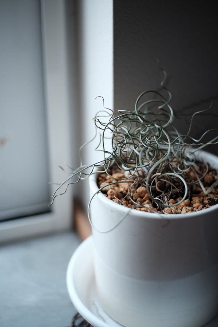 Fujifilm X-E2 ミラーレスカメラセット