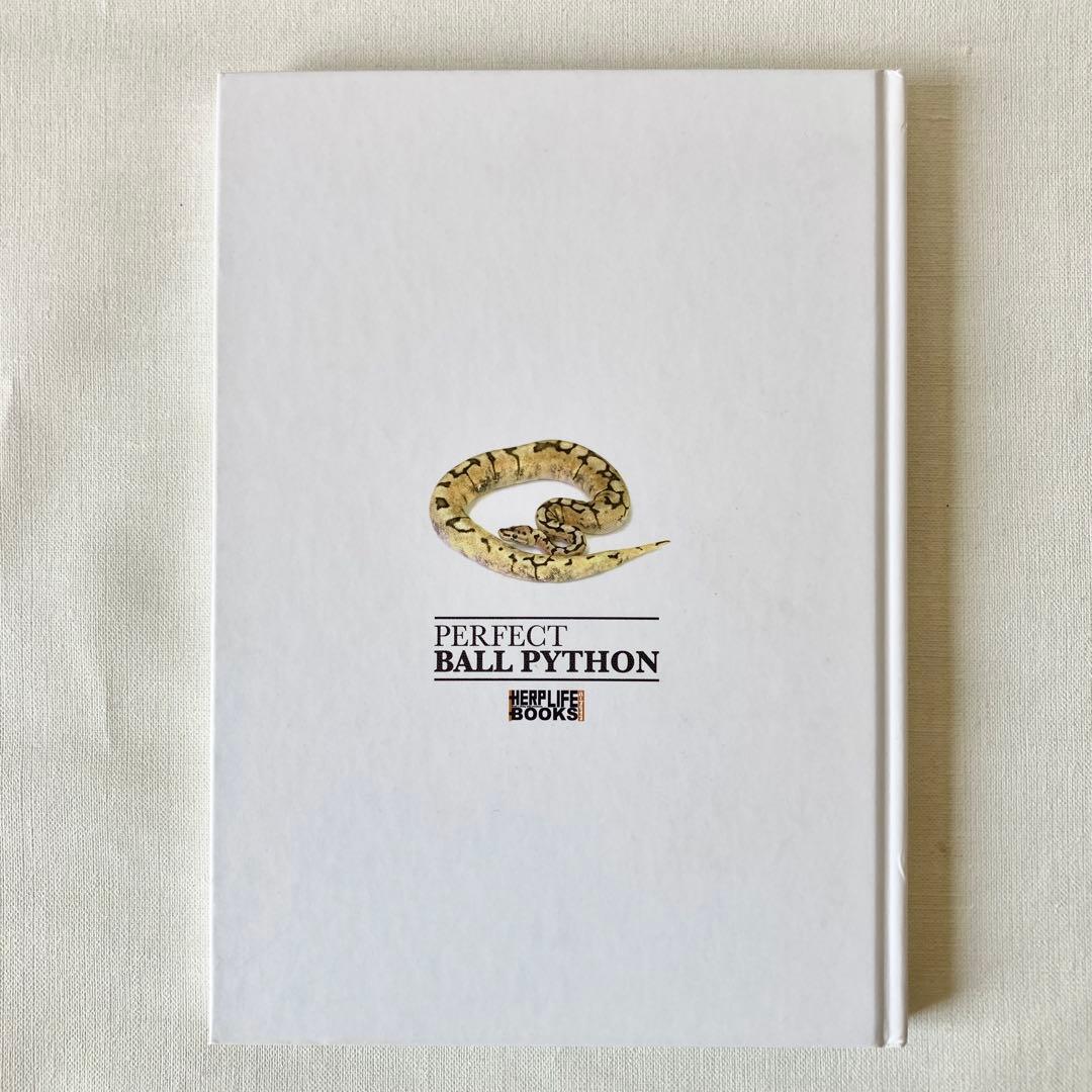 【絶版】PERFECT BALLPYTHON パーフェクトボールパイソン 爬虫類