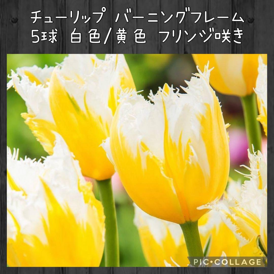 awe様 リクエスト 10点 まとめ商品