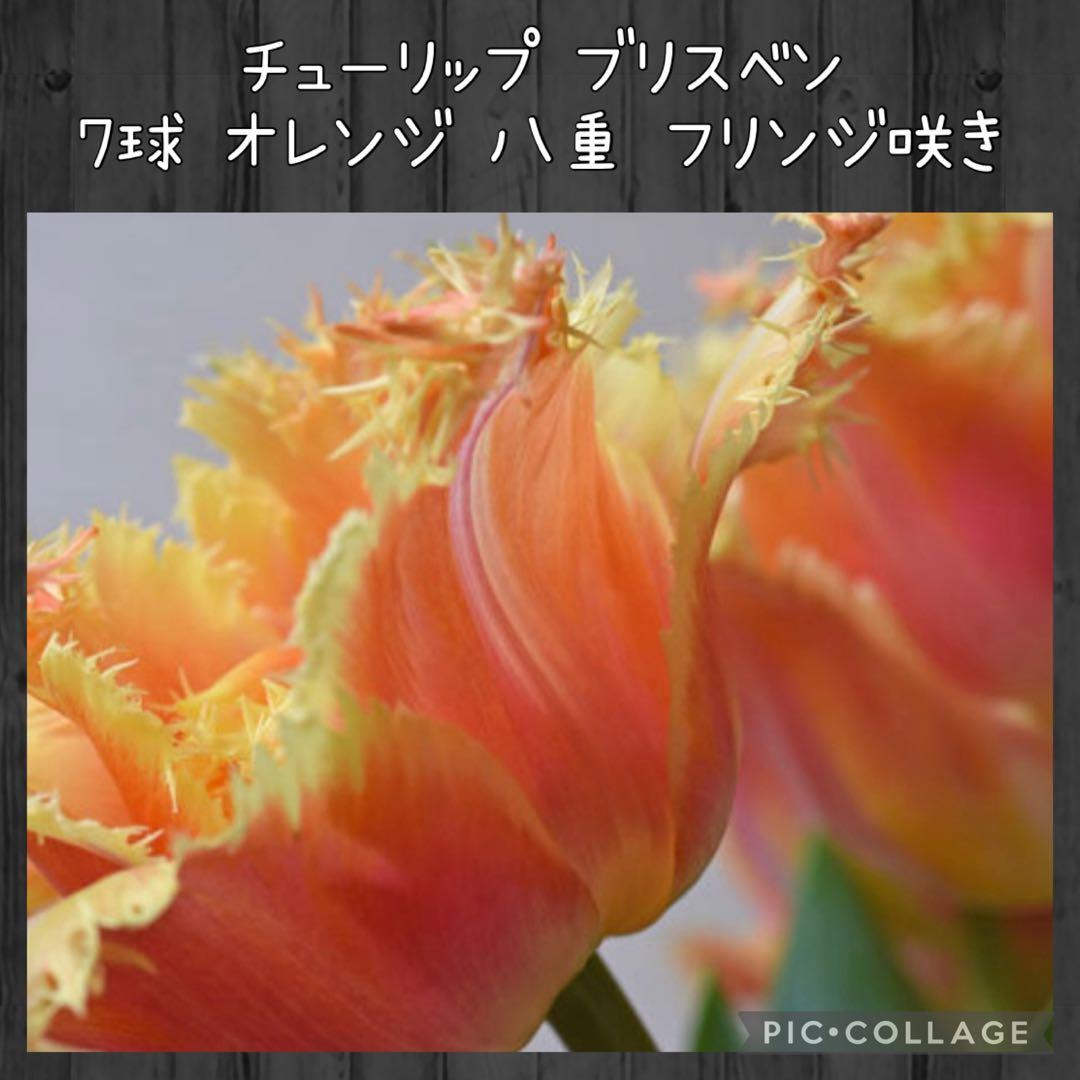 awe様 リクエスト 10点 まとめ商品