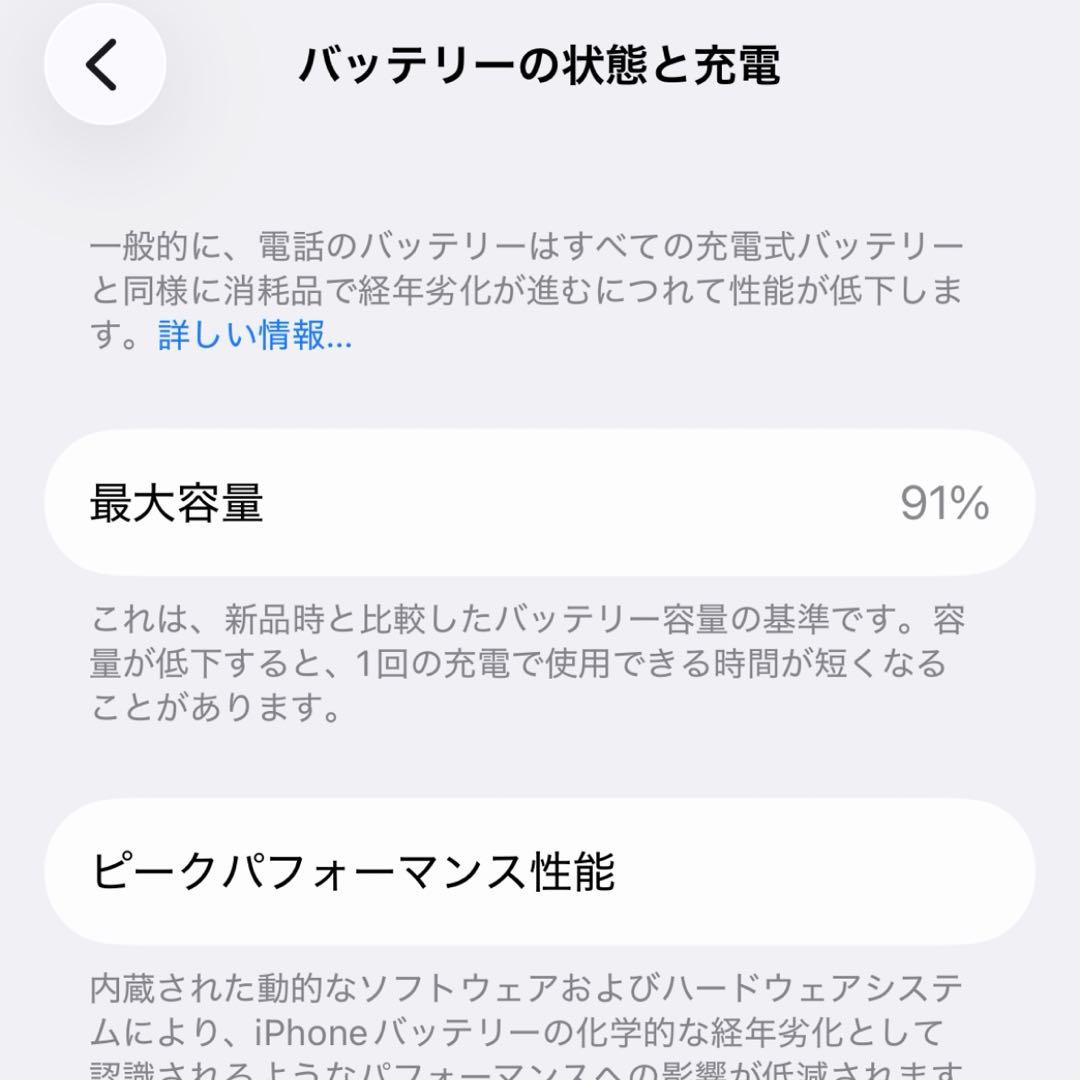 Apple iPhone 12 Pro シルバー256gb 91%
