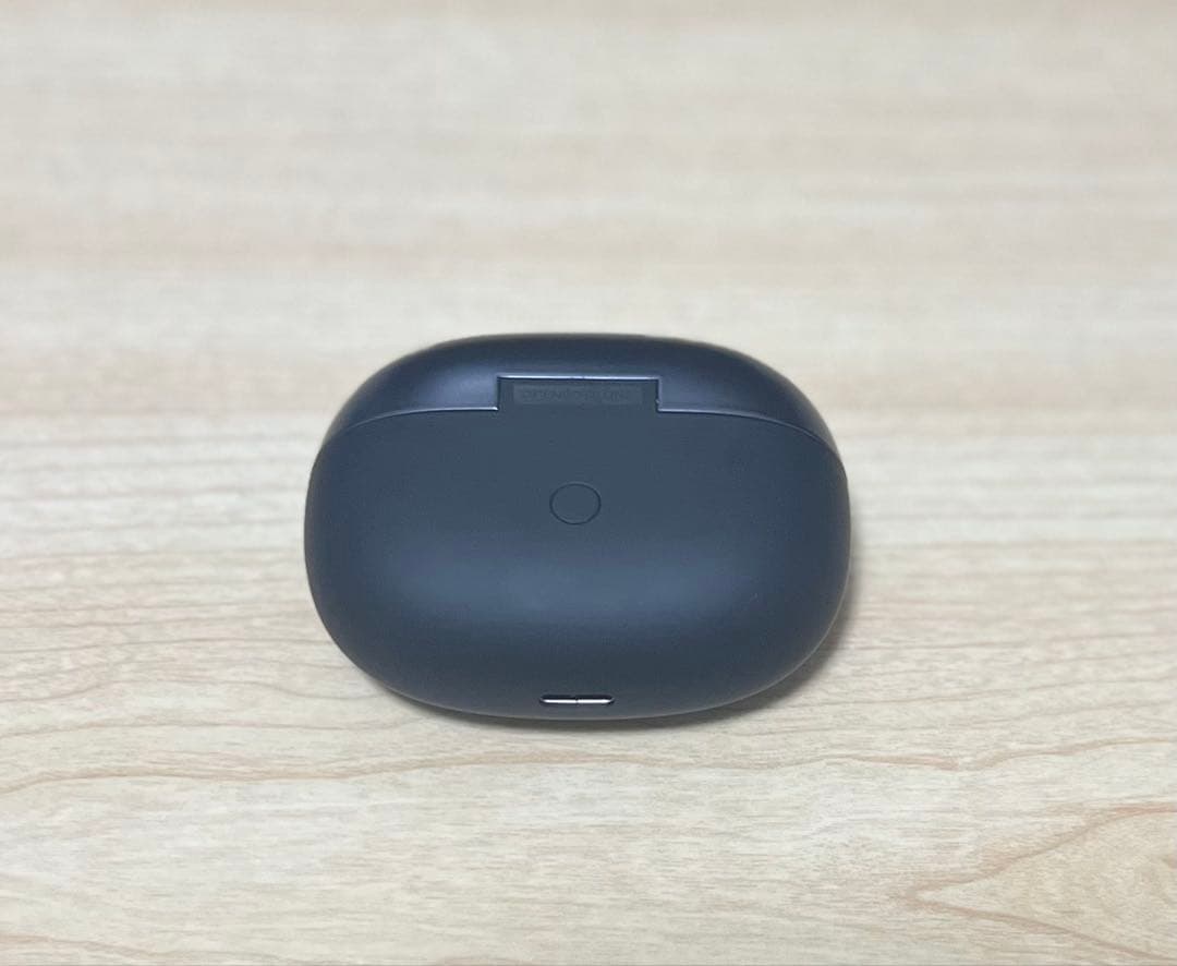 Shokz (ショックス) OpenDots ONE