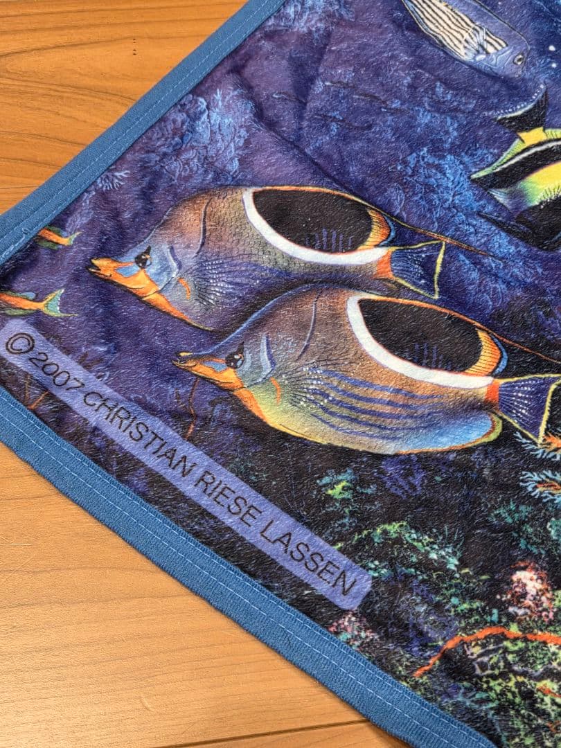 クリスチャン・ラッセン　ブランケット　2枚