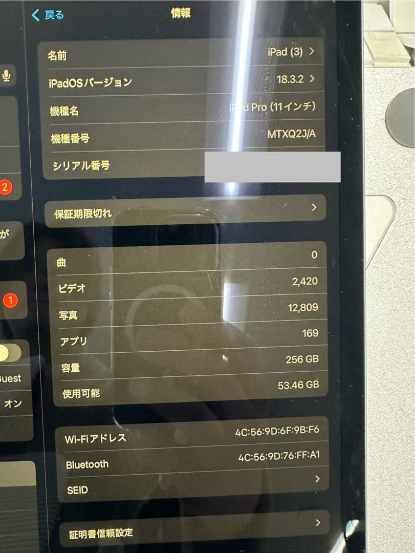 Apple iPad Pro 第一世代 Wi-Fiモデル 256GB 11インチ