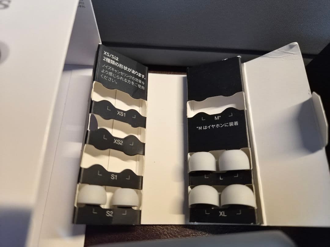 EAH-AZ80-S Technics シルバー ワイヤレスイヤホン