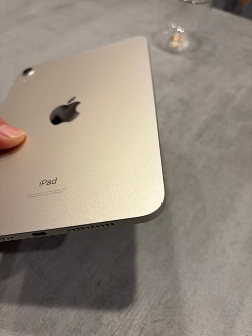 iPad mini6 256GB Wi-Fiモデル