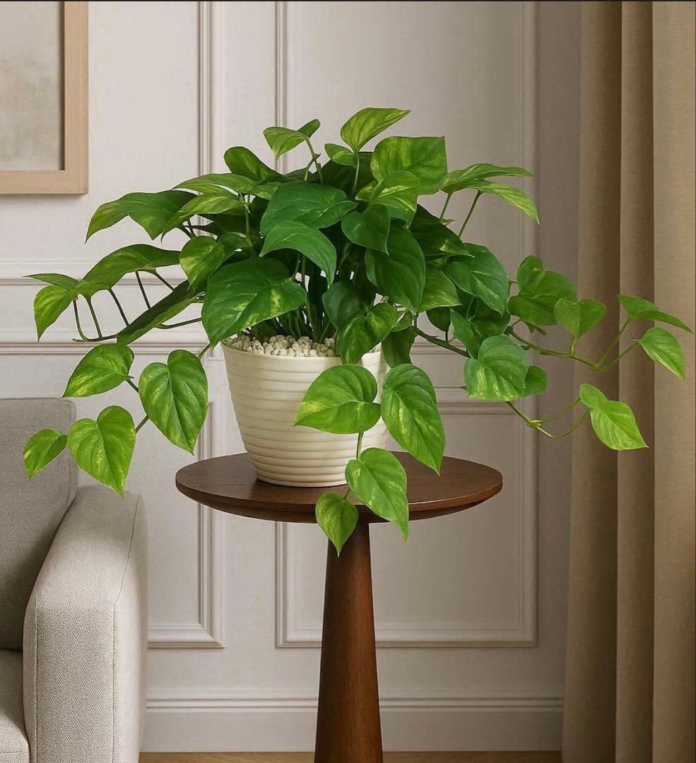 光触媒　人工観葉植物　ウォールグリーン　フェイクグリーン　特大ポトスブッシュ 3