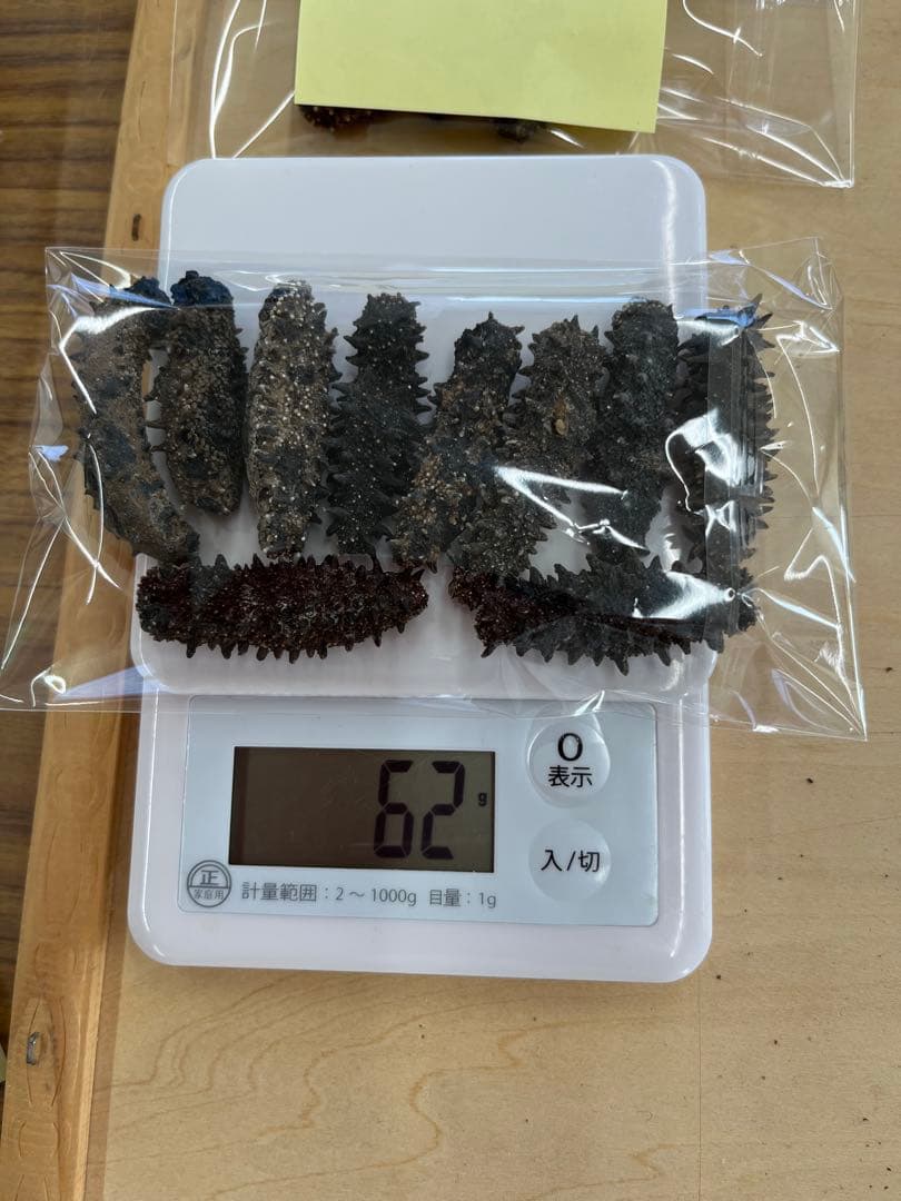 北海道産乾燥ナマコ　訳あり　B級品　混合サイズ　(中〜小)合計261g