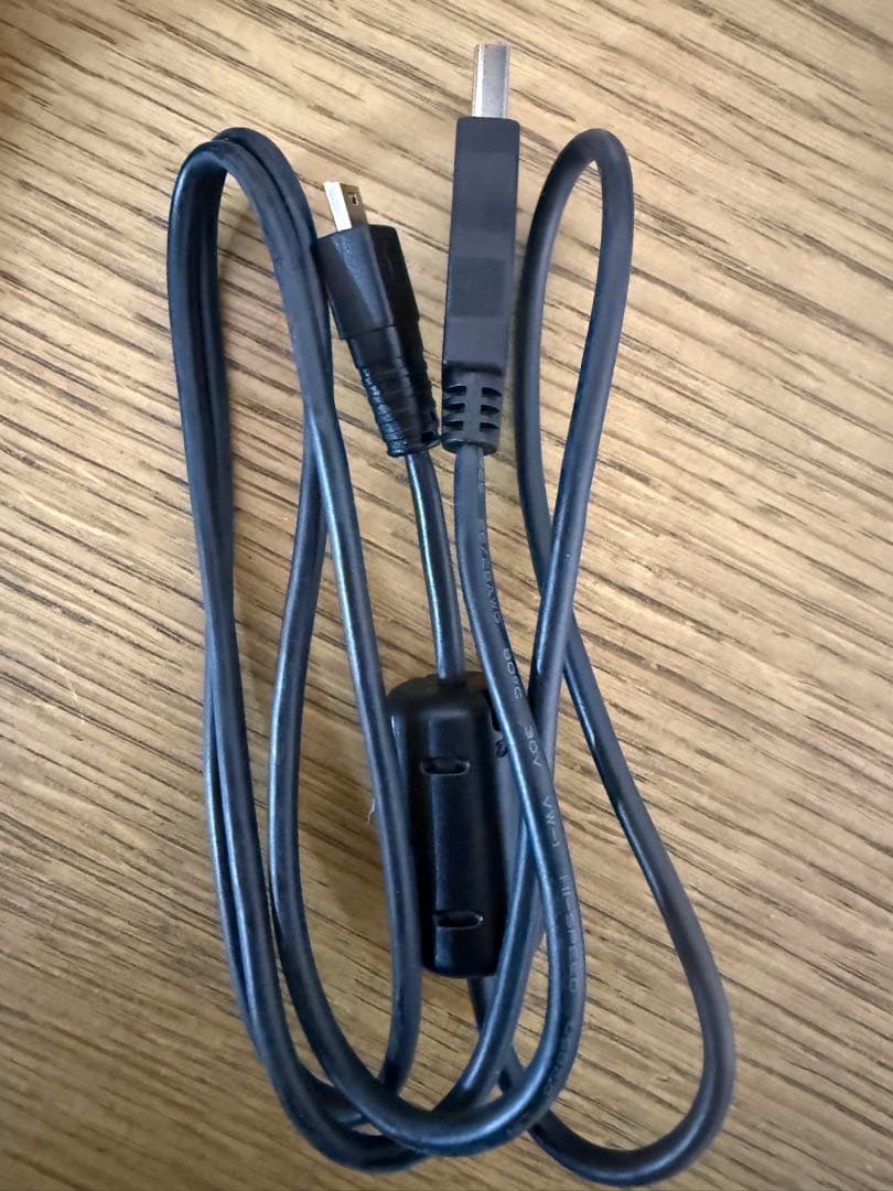 SANYO サンヨー デジカメ Xacti DMX−CG100 ブラック