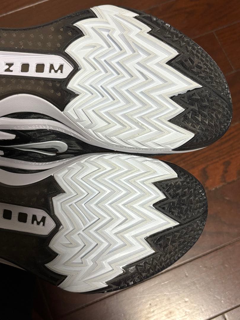 シューズ(男性用) NIKE AIR ZOOM GT CUT 2 27.5cm