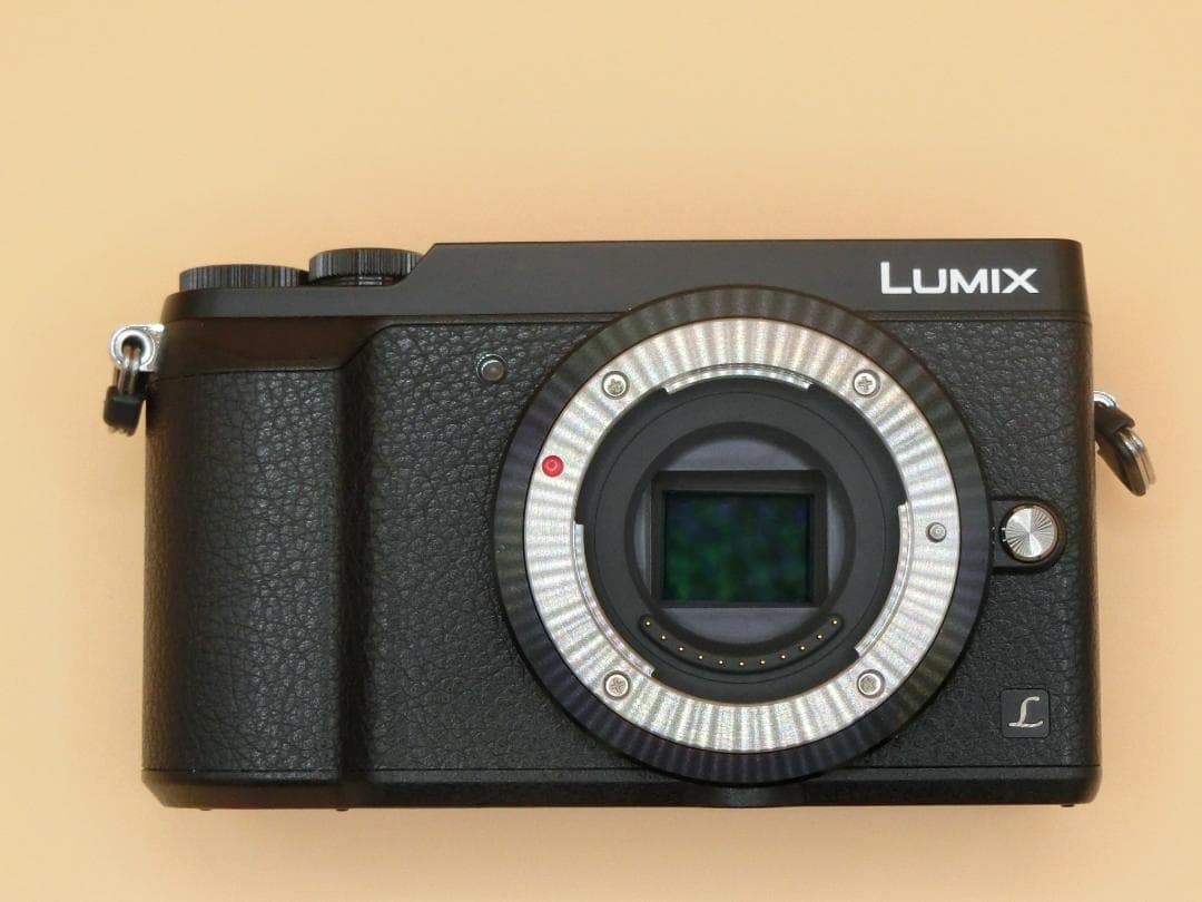 Panasonic Lumix DMC-GX7MK2 ダブルズームキット