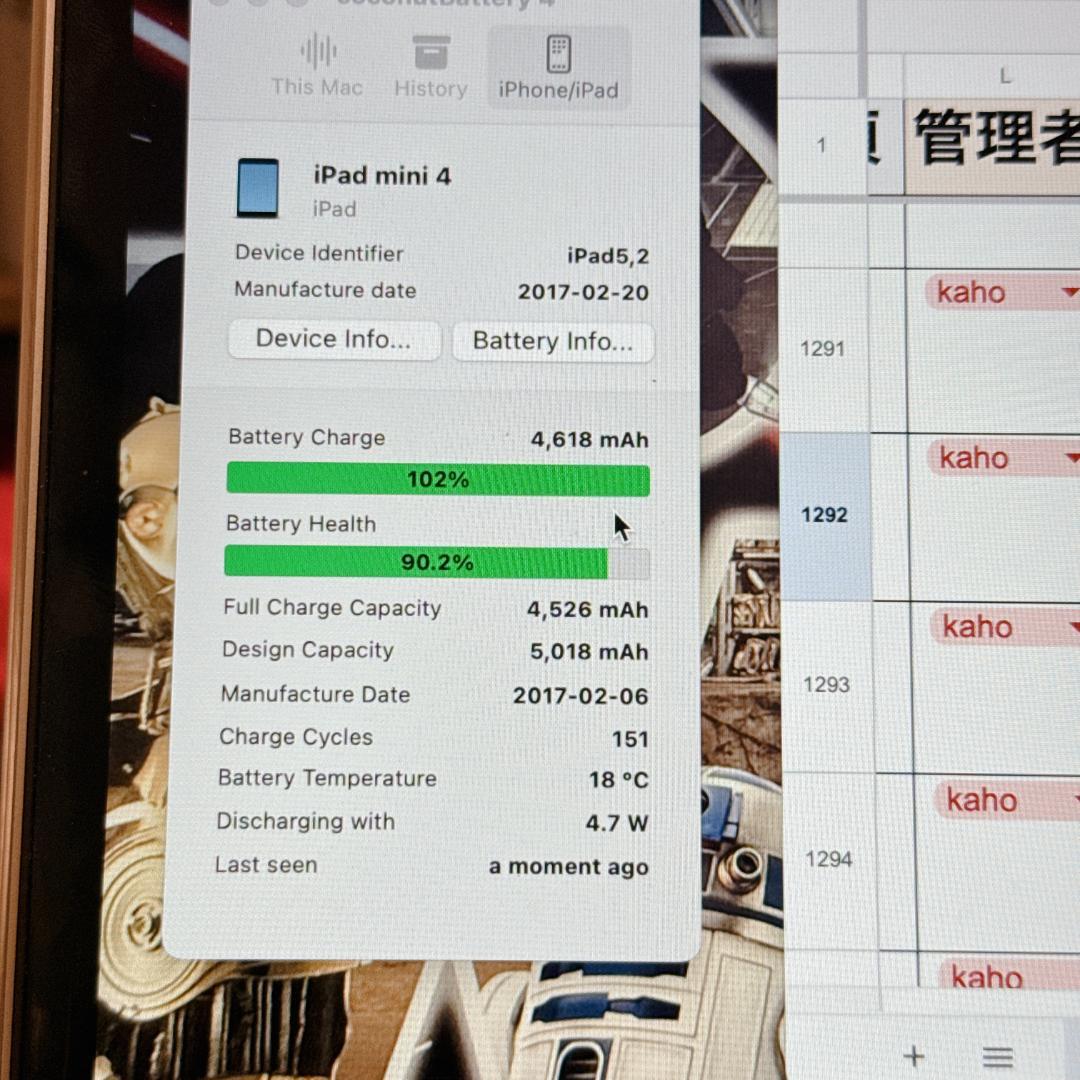 【概ね美品】Apple iPad mini 4 32GB Wi-Fiモデル