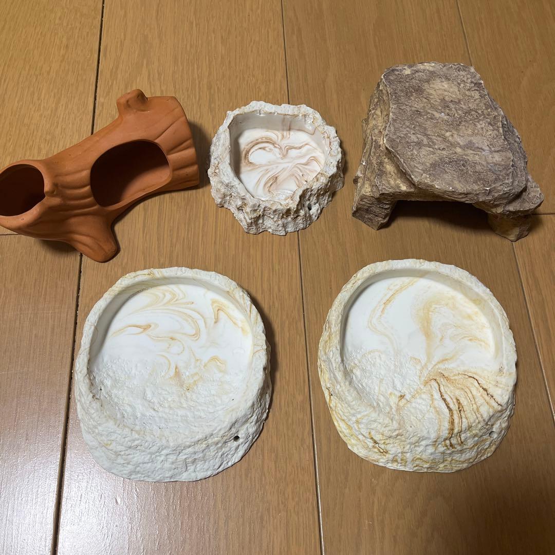 爬虫類 トカゲ カナヘビ 飼育セット　紫外線ライト 保温ライト