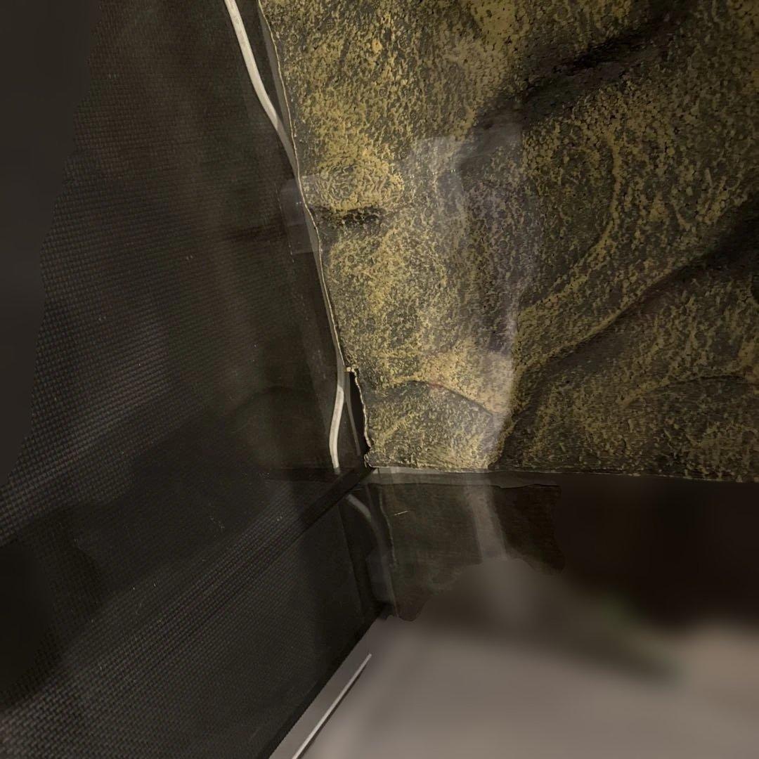 爬虫類ケージ　ＧＥＸ　エキゾテラ　グラステラリウム　９０４５　手渡し限定