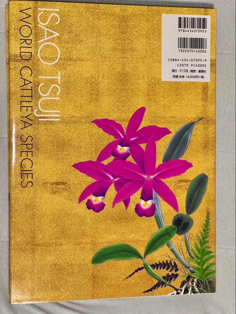 辻勲原種カトレアの世界―南米への熱き想い