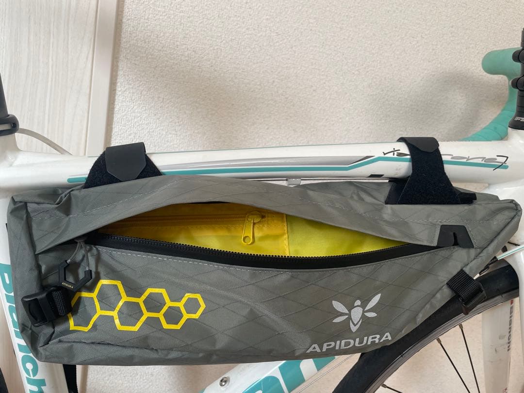 APIDURA フレームバック