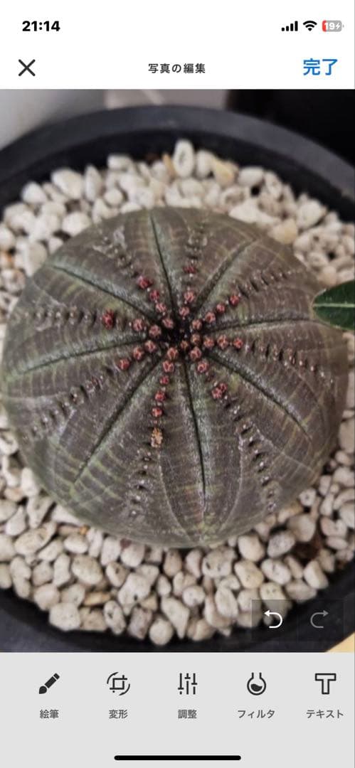 sin.723 キャンセルでも大丈夫です☺︎