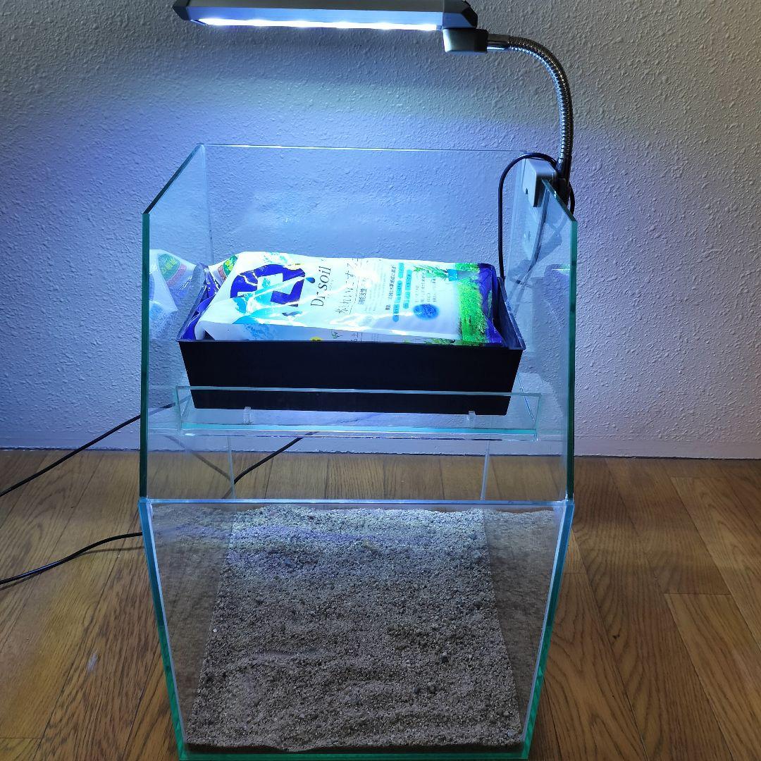 水草水槽　アクアテラリウム　水槽セット