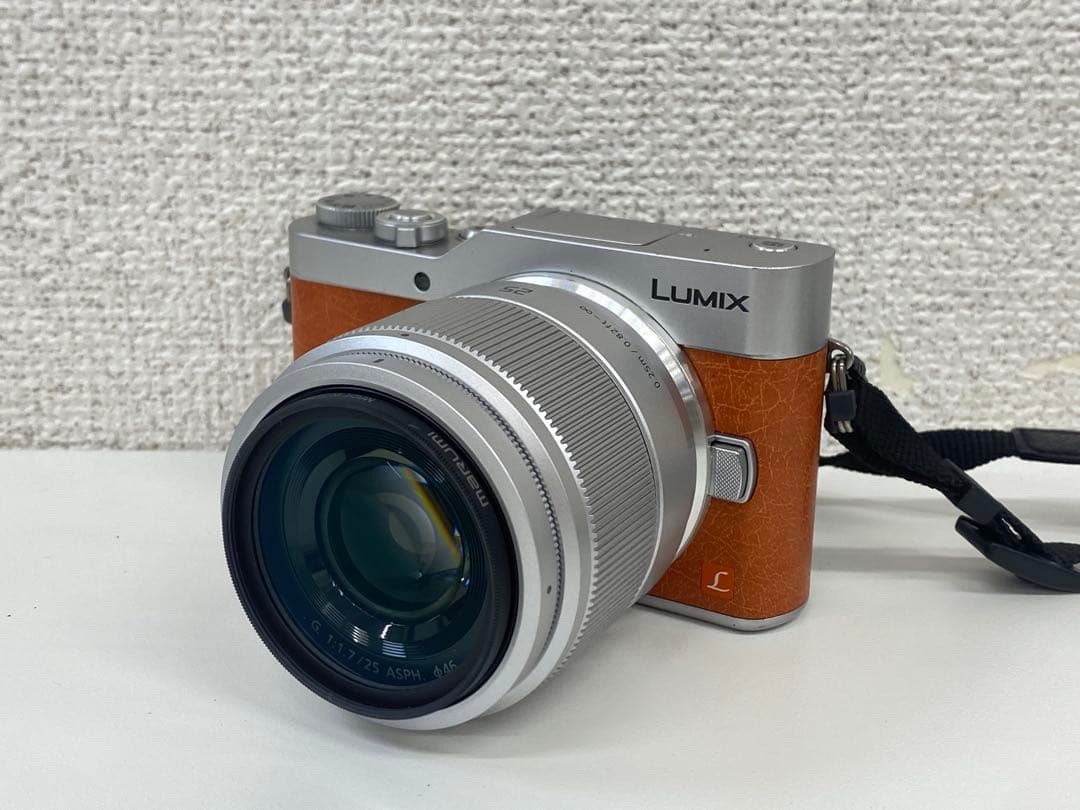 Panasonic パナソニック LUMIX DC-GF9W デジタルカメラ