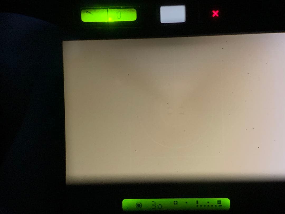 フィルムカメラ NIKON F4