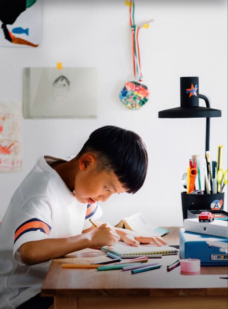 バルミューダ ザ・ライト / ブラック（動作確認済）