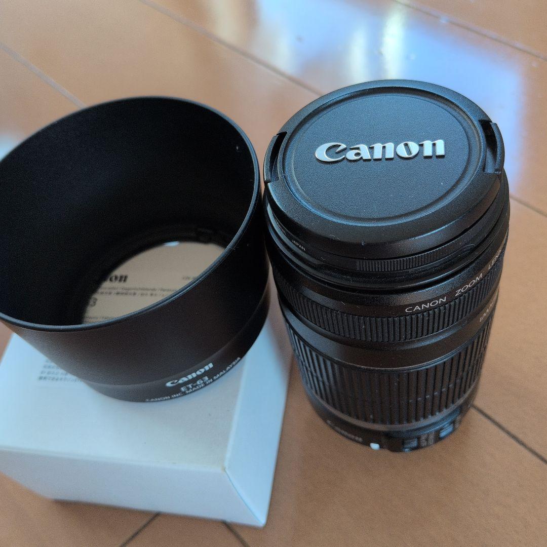 フード+保護レンズ付❣️【Canon】レンズEFS55-250mm