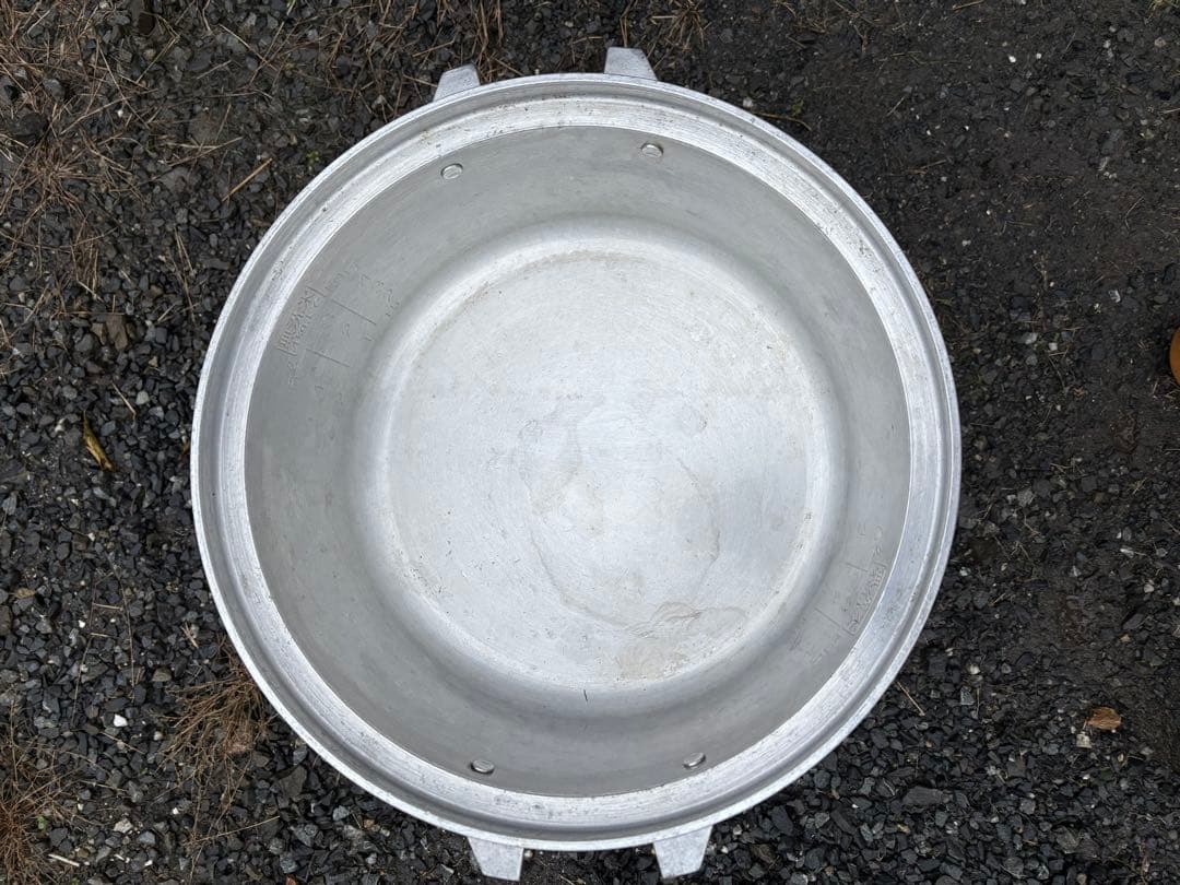 Rinnai 業務用 ガス炊飯器 RR30S1 プロパンガス用