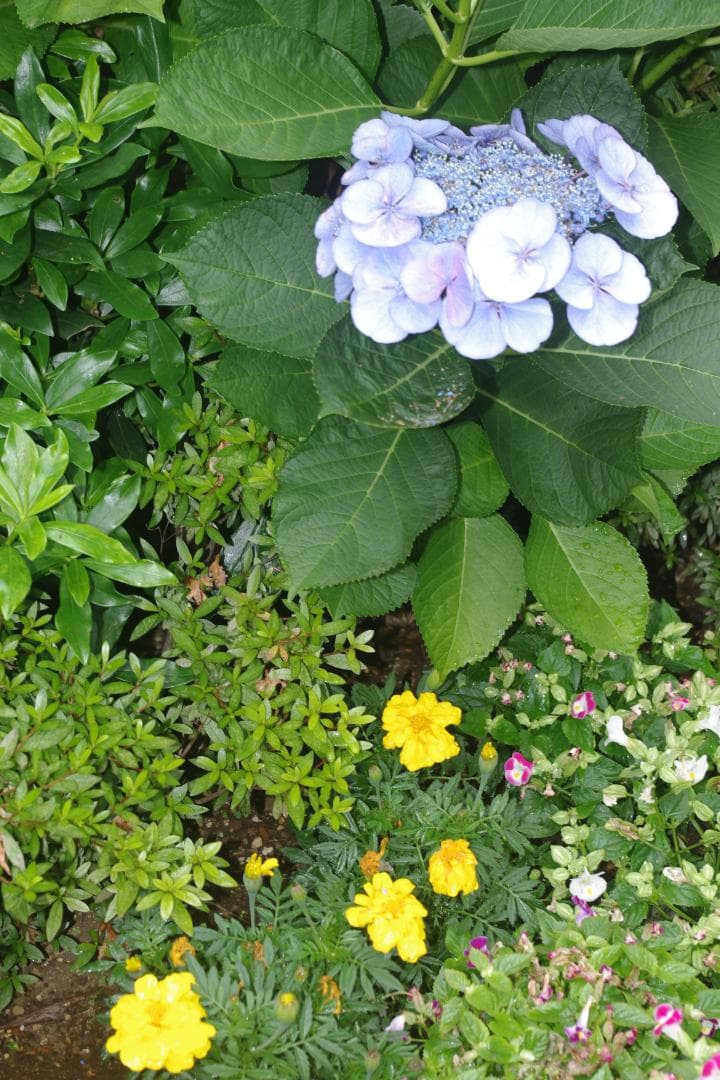 【S数2723回】PENTAX K-X★望遠レンズ付き55-300ｍｍ★転送OK