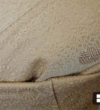 アン☆【極美品】色無地フルセット　正絹　袷　一つ紋　地紋　唐織六通袋帯