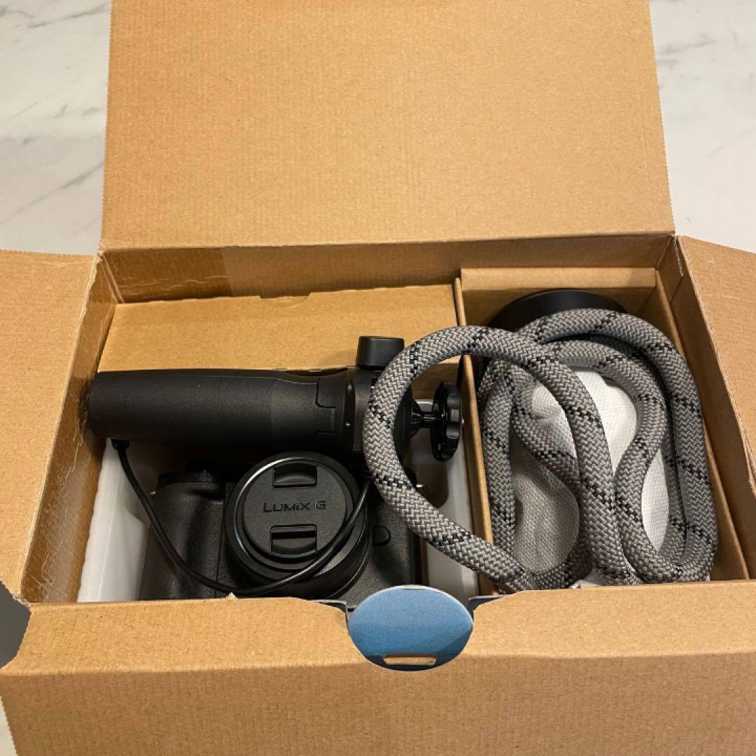 【豪華アクセサリー付属 限定セット販売】LUMIX DC-G100V 美品セット