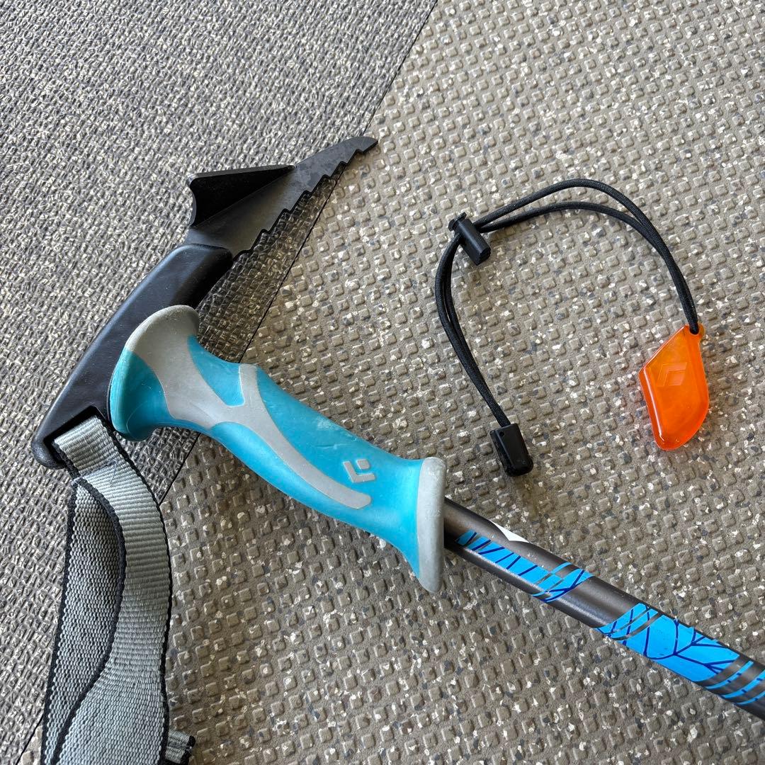  ストック　ウィペット