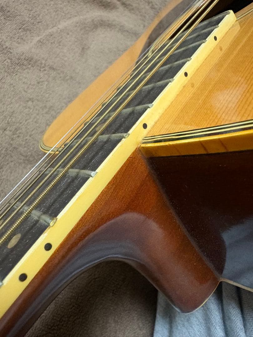 YAMAHA FG-251 アコースティックギター　ソフトケース付き