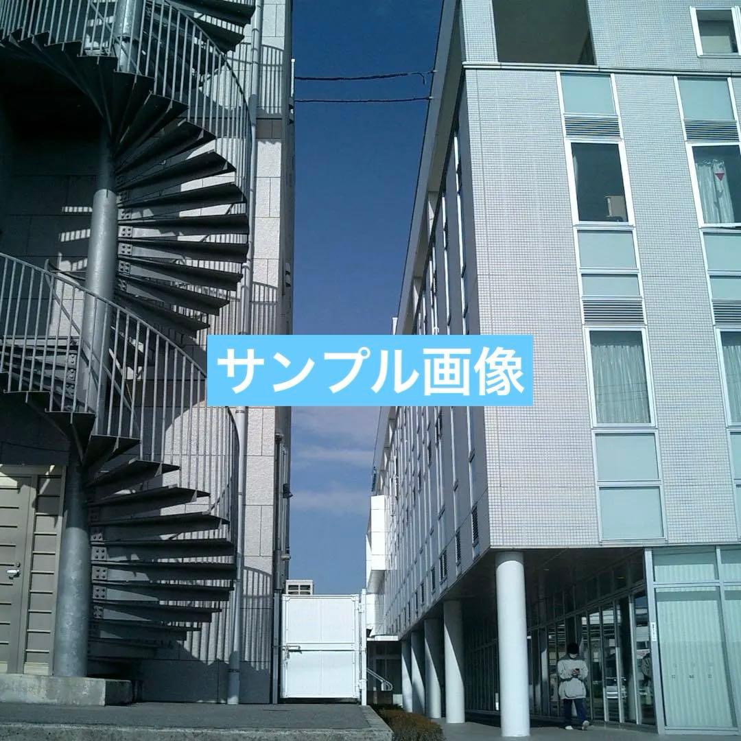 カシオ EXILIM EX-S3 デジカメ コンデジ バッテリー新品 SD2GB