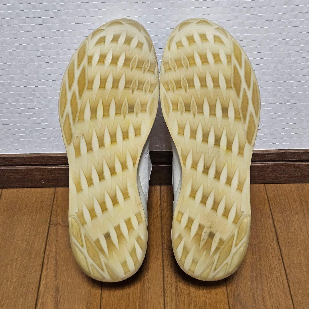ecco BIOM COOL PRO BOA ゴルフシューズ GORE-TEX
