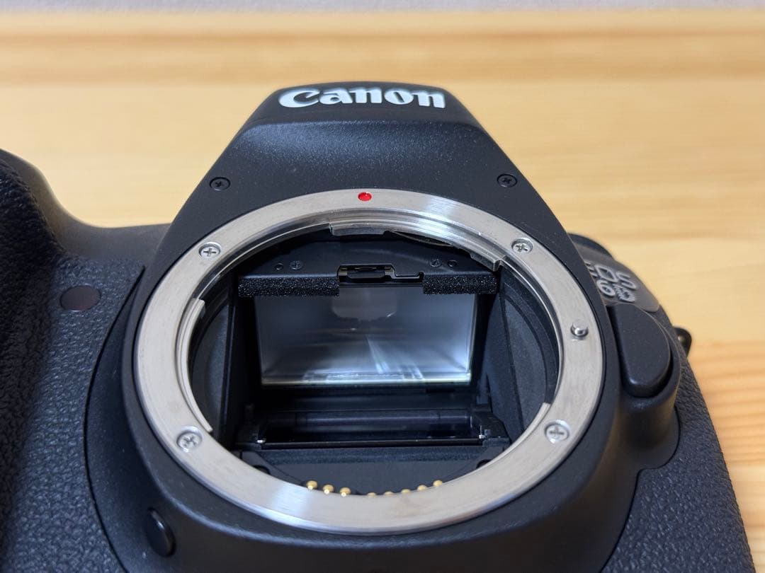 Canon EOS 6D EF24-105mm F4L IS USMレンズキット